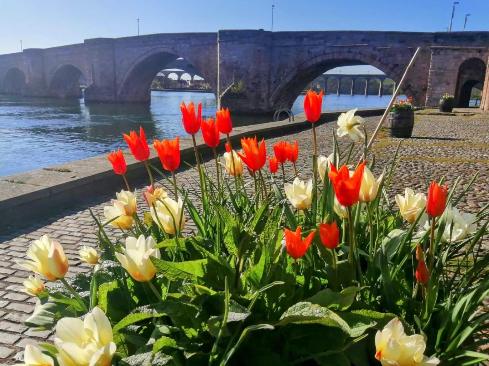 18 Mill Wharf Apartment Berwick Upon Tweed Exterior photo